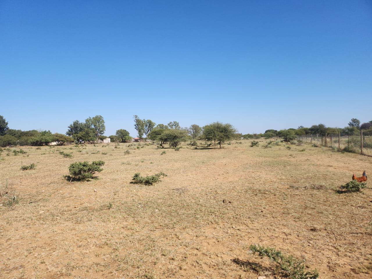 Rooigrond Plot For Sale Saban Real Estates rooigrond-plot-for-sale-saban-real-estates