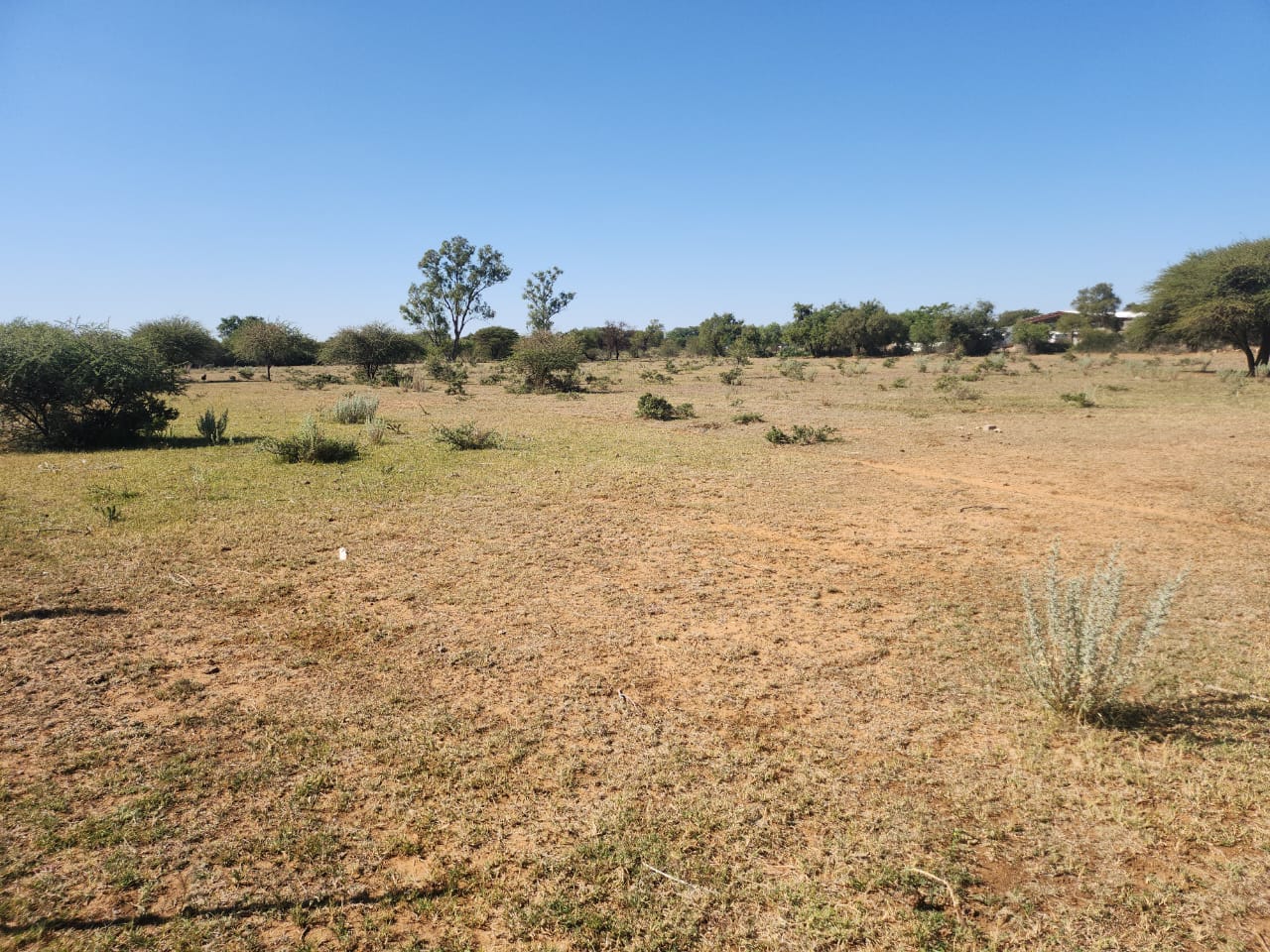 Rooigrond Plot For Sale Saban Real Estates rooigrond-plot-for-sale-saban-real-estates